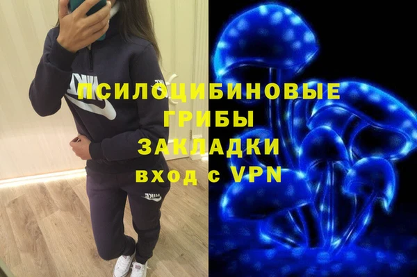 гидропоника Каменск-Шахтинский