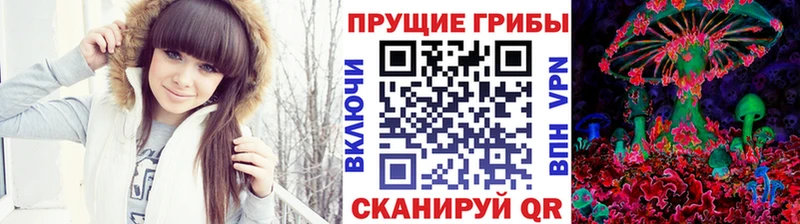 Псилоцибиновые грибы Magic Shrooms MEGA рабочий сайт Сураж