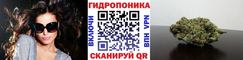 ОМГ ОМГ   купить наркоту  Сураж  МАРИХУАНА марихуана 